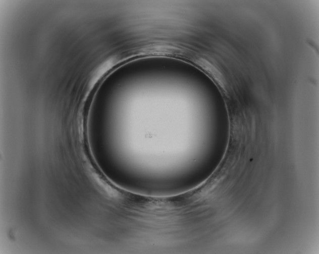 X0000097821083200803141135