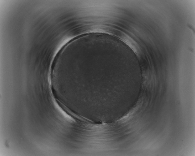 X0000097821084200803141135