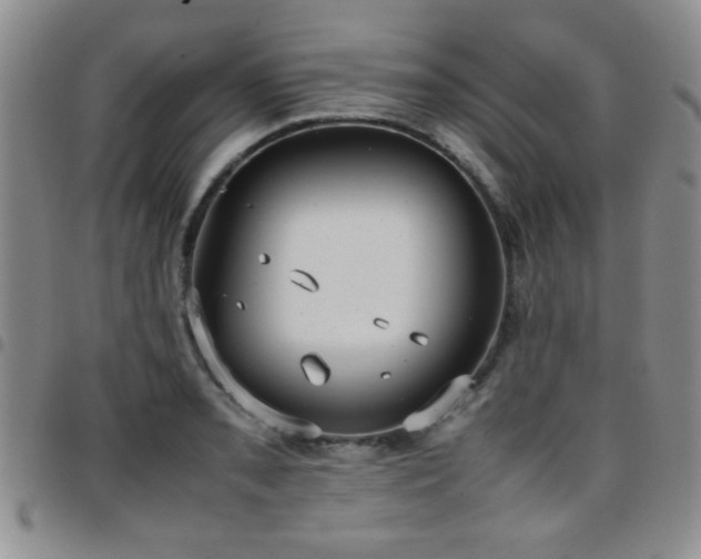 X0000097821085200803141135