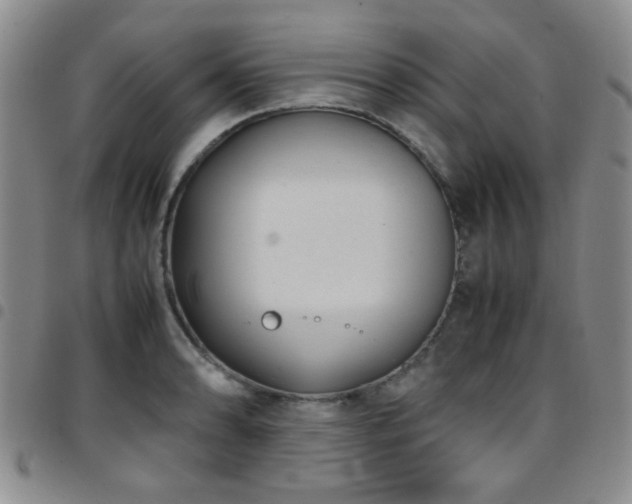 X0000097821086200803141135