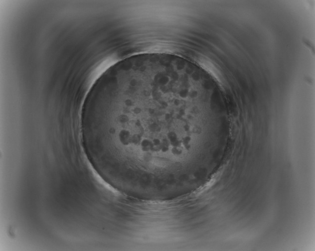 X0000097821087200803141135