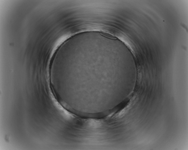 X0000097821088200803141135