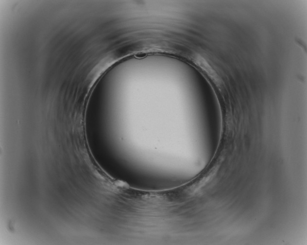 X0000097821089200803141135