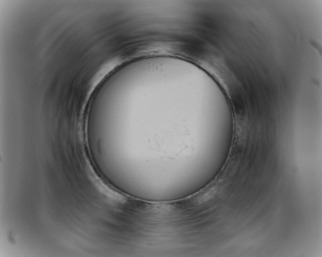 X0000097821090200803141135