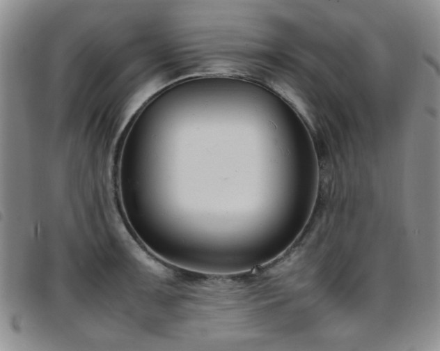 X0000097821091200803141135