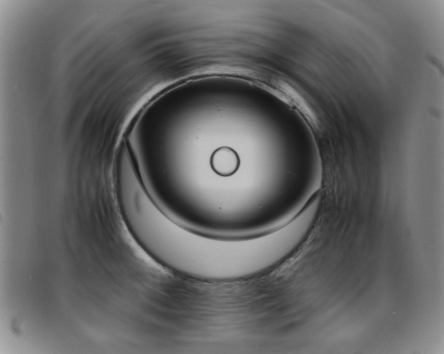 X0000097821092200803141135