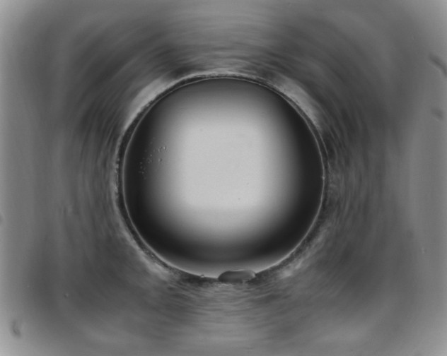 X0000097821093200803141135