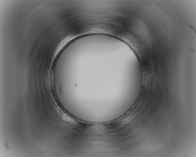 X0000097821094200803141135