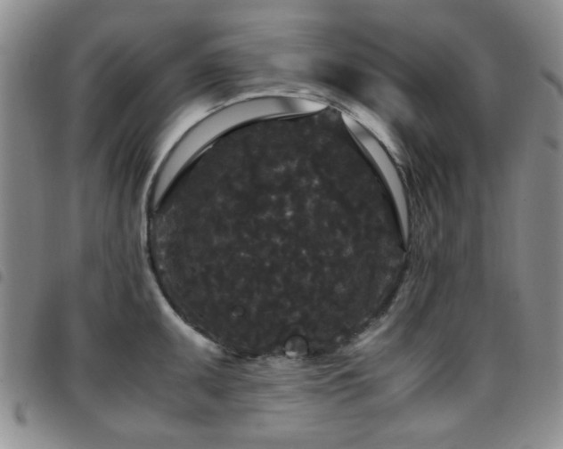 X0000097821095200803141135