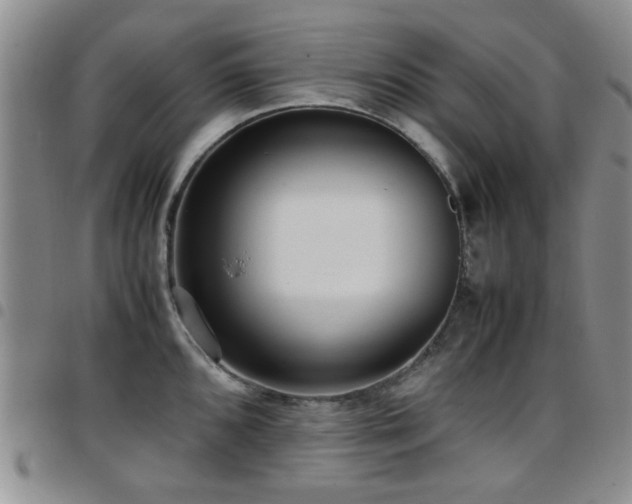 X0000097821096200803141135