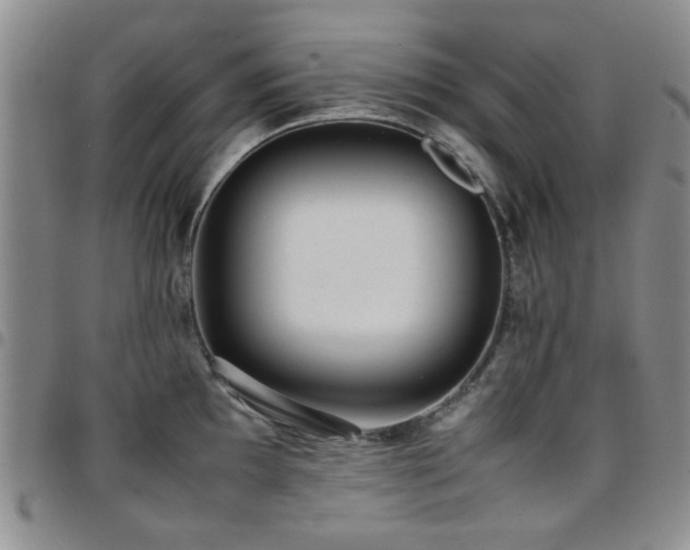 X0000097821097200803141135