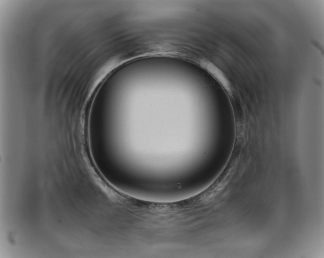 X0000097821099200803141135