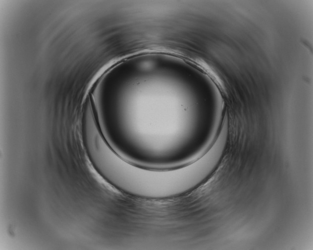 X0000097821100200803141135