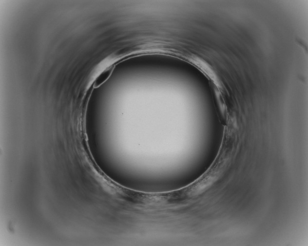 X0000097821101200803141135