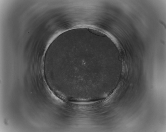 X0000097821102200803141135