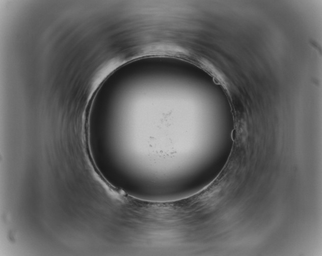 X0000097821103200803141135