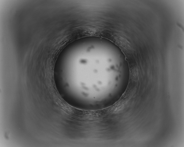 X0000097821105200803141134