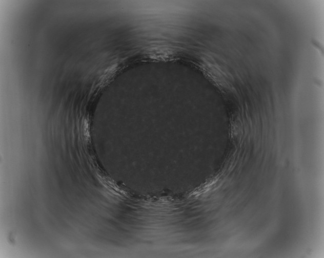 X0000097821106200803141134