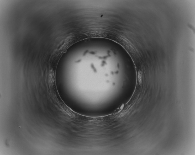 X0000097821107200803141134