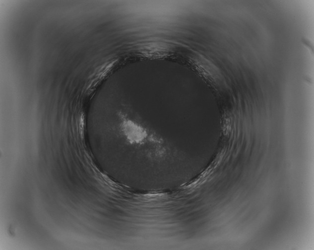 X0000097821108200803141134