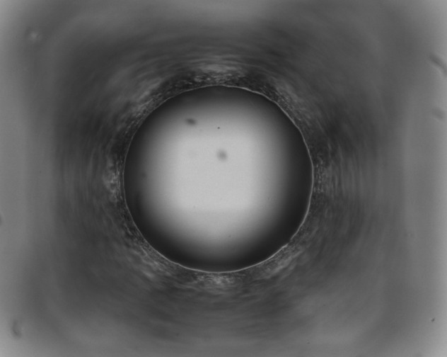 X0000097821109200803141134