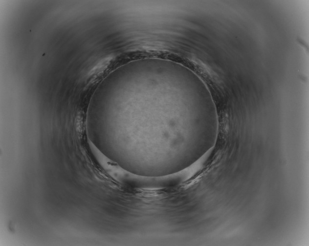 X0000097821110200803141134