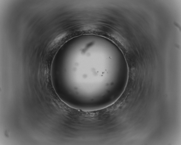 X0000097821111200803141134