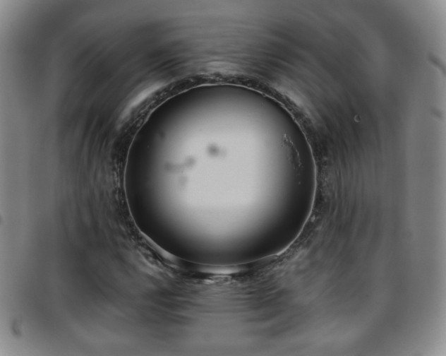 X0000097821112200803141134