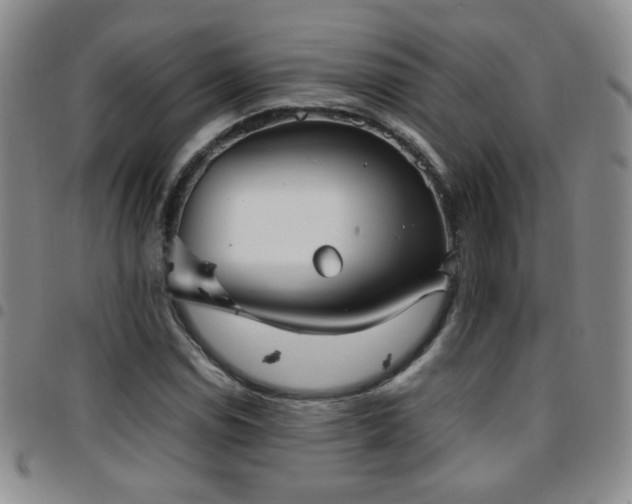 X0000097821114200803141134