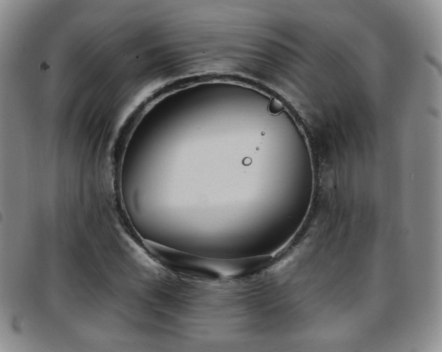 X0000097821118200803141134