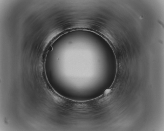 X0000097821119200803141134