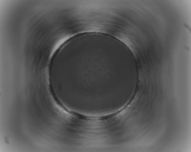 X0000097821120200803141134