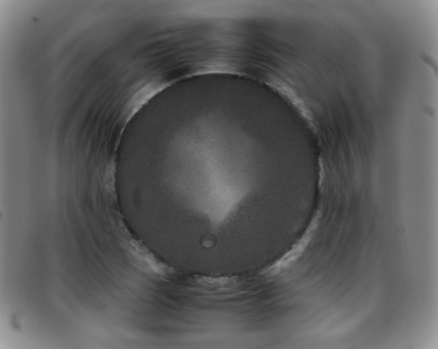 X0000097821121200803141134