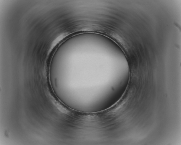 X0000097821122200803141134