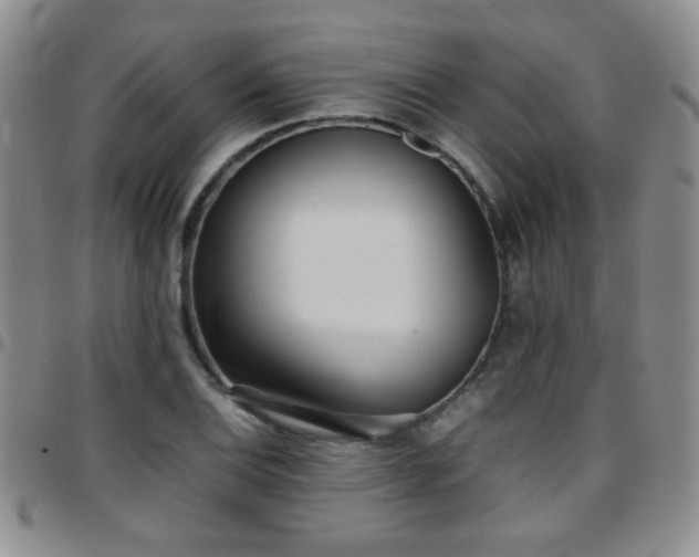 X0000097821124200803141134