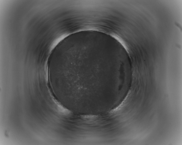 X0000097821127200803141134