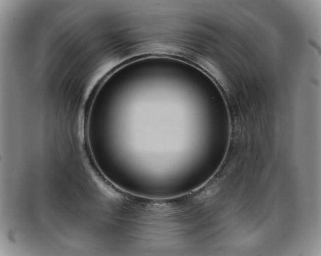 X0000097821128200803141134