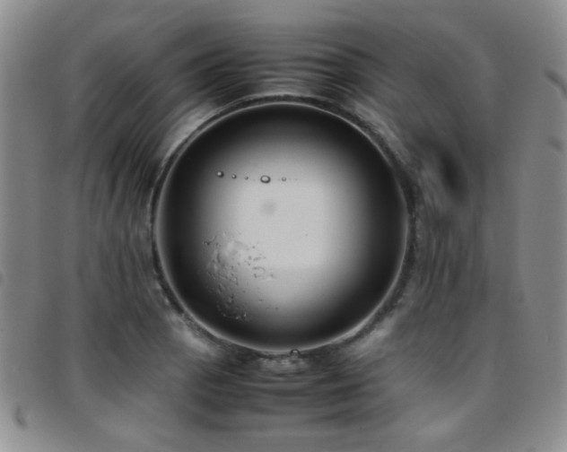 X0000097821129200803141134