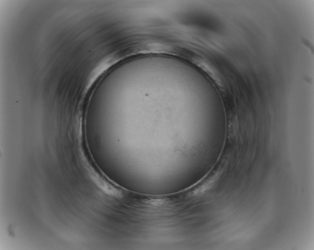 X0000097821130200803141134