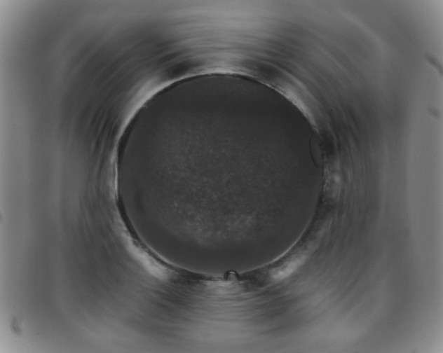 X0000097821132200803141134