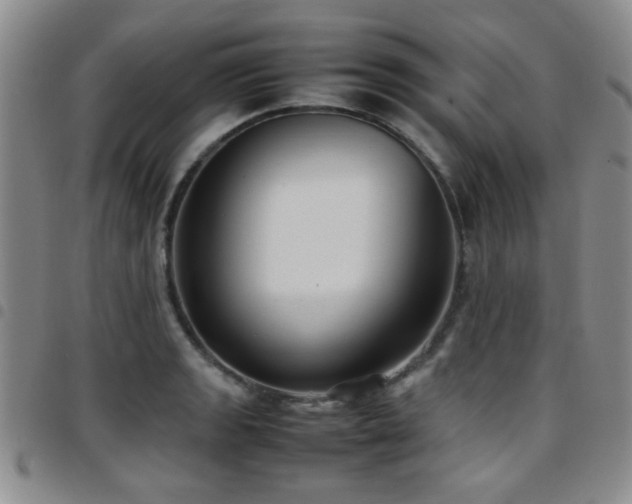 X0000097821133200803141134