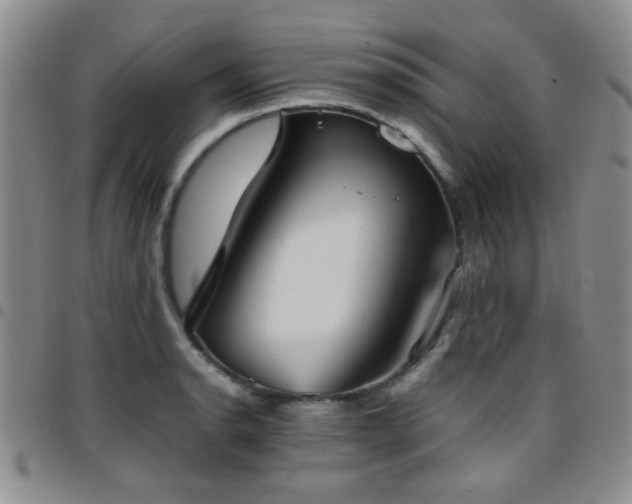 X0000097821134200803141134