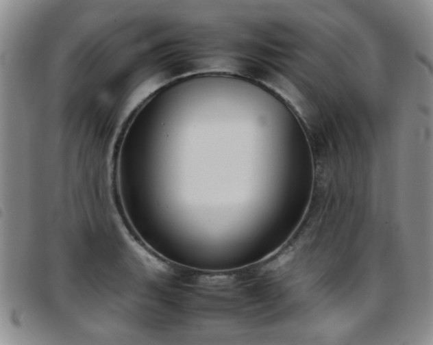 X0000097821135200803141134