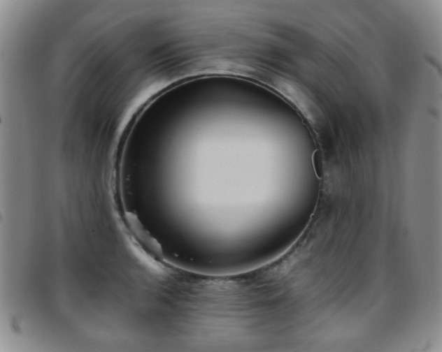 X0000097821136200803141134