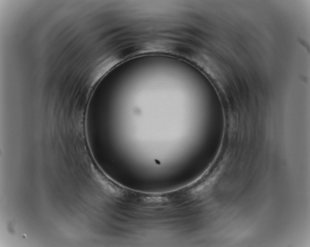 X0000097821137200803141134