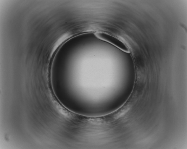 X0000097821138200803141134