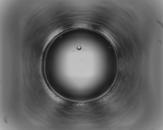 X0000097821139200803141134