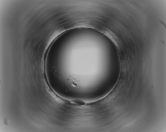 X0000097821140200803141134