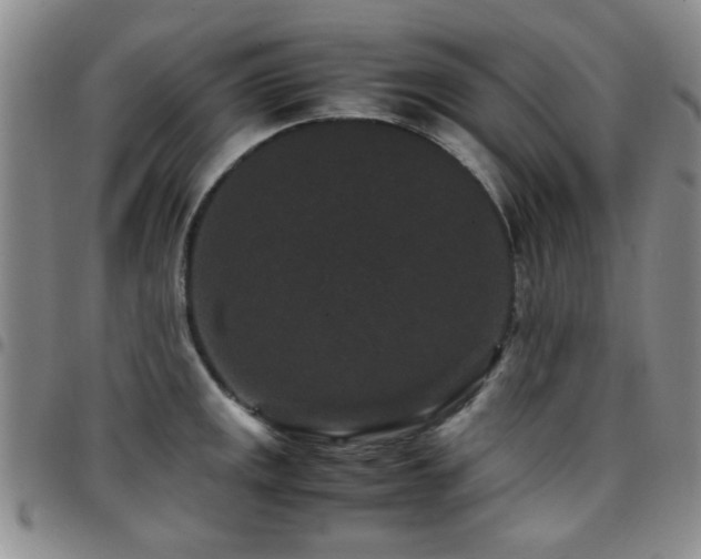 X0000097821141200803141134