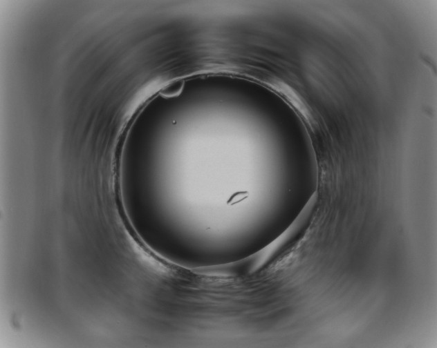 X0000097821143200803141135